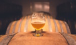 boston craft beer